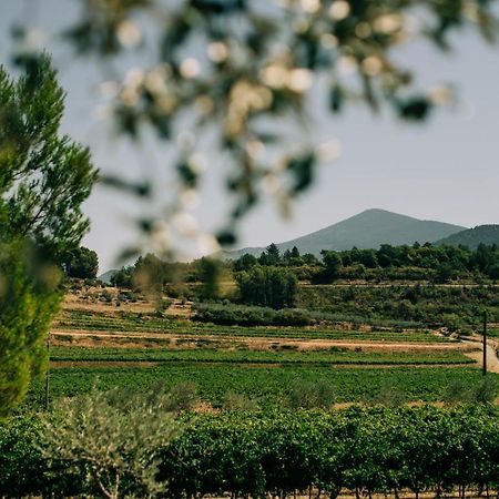 Les Gites Du Clos Saint Michel & Spa Malaucène Kültér fotó