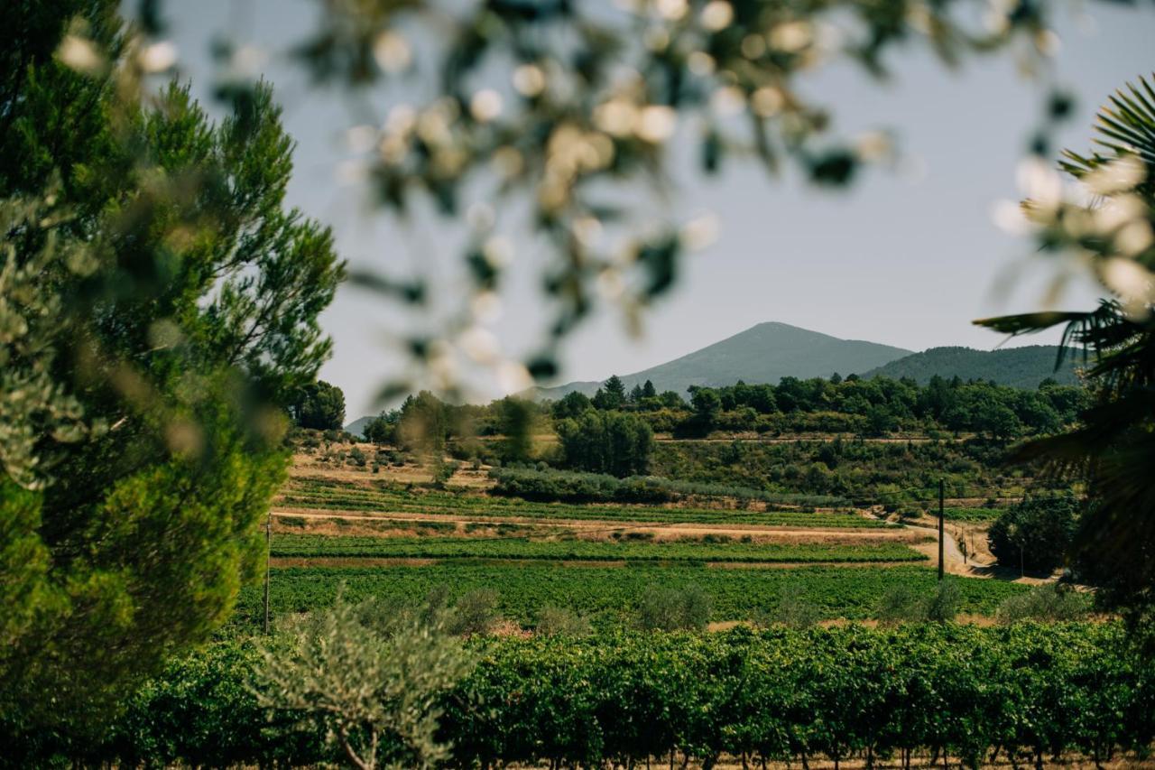 Les Gites Du Clos Saint Michel & Spa Malaucène Kültér fotó