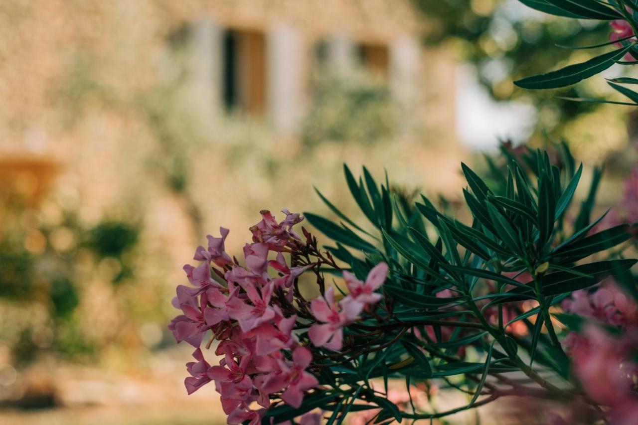 Les Gites Du Clos Saint Michel & Spa Malaucène Kültér fotó